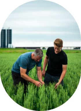 Un père et son fils marchent dans un champ en direction d'un silo. Ils représentent la communauté de Sollio Agriculture.