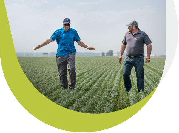 Un expert-conseil en production végétale de Sollio Agriculture et un expert de semences Maizex discutent dans un champ.