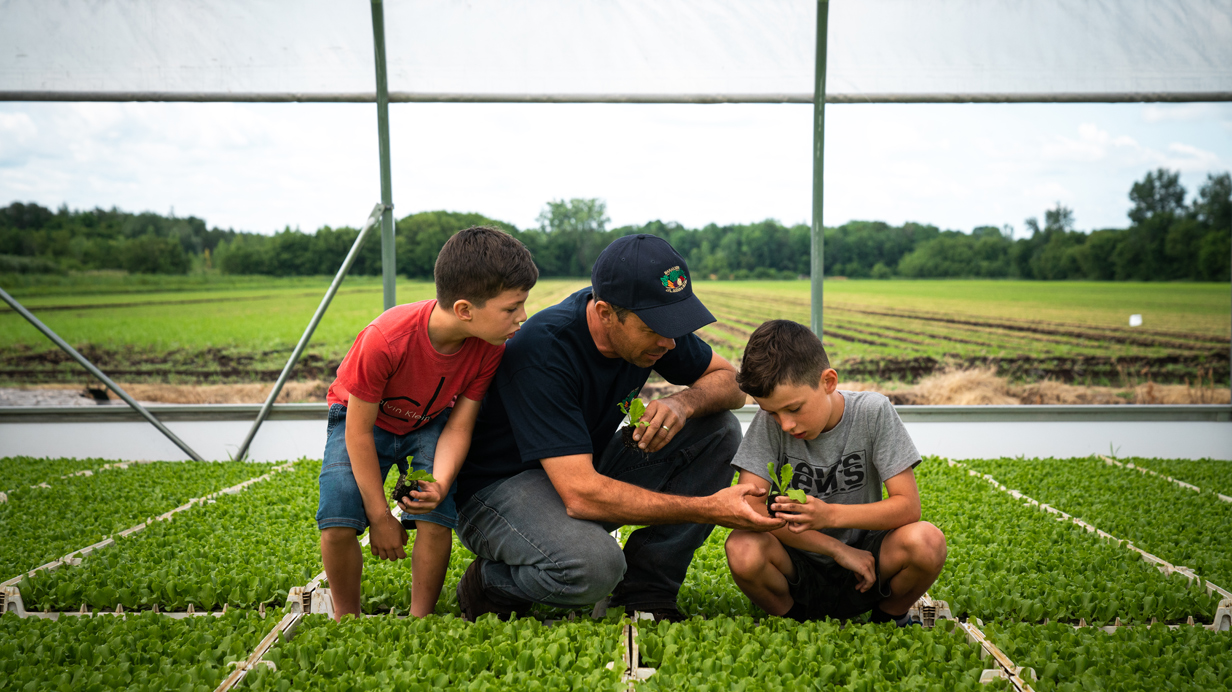 A farmer and his two children in a greenhouse at Maraîchers J.P.L. Guerin & Sons Inc. observe plants to be fertilized.
