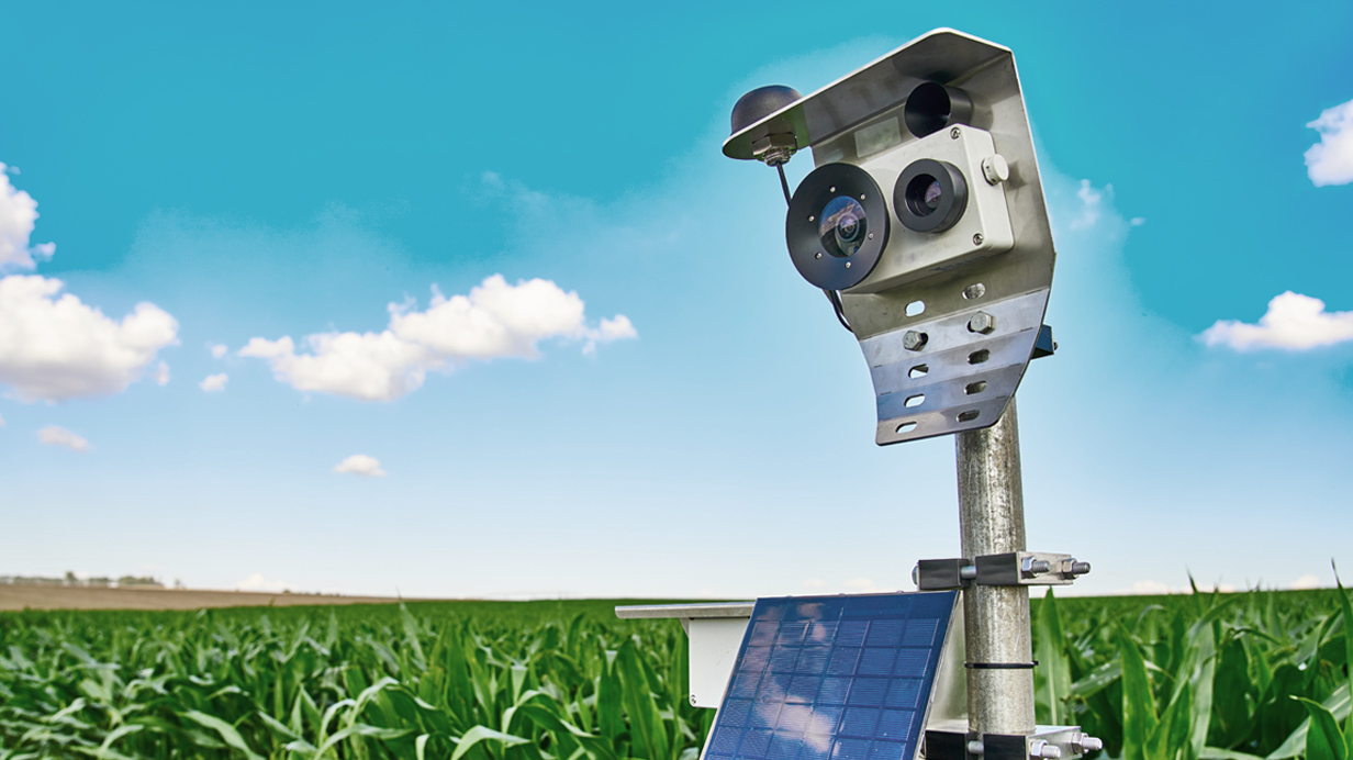 Une station agro-météo connectée, de METOS Canada et Sollio Agriculture, dans un champ de maïs. 