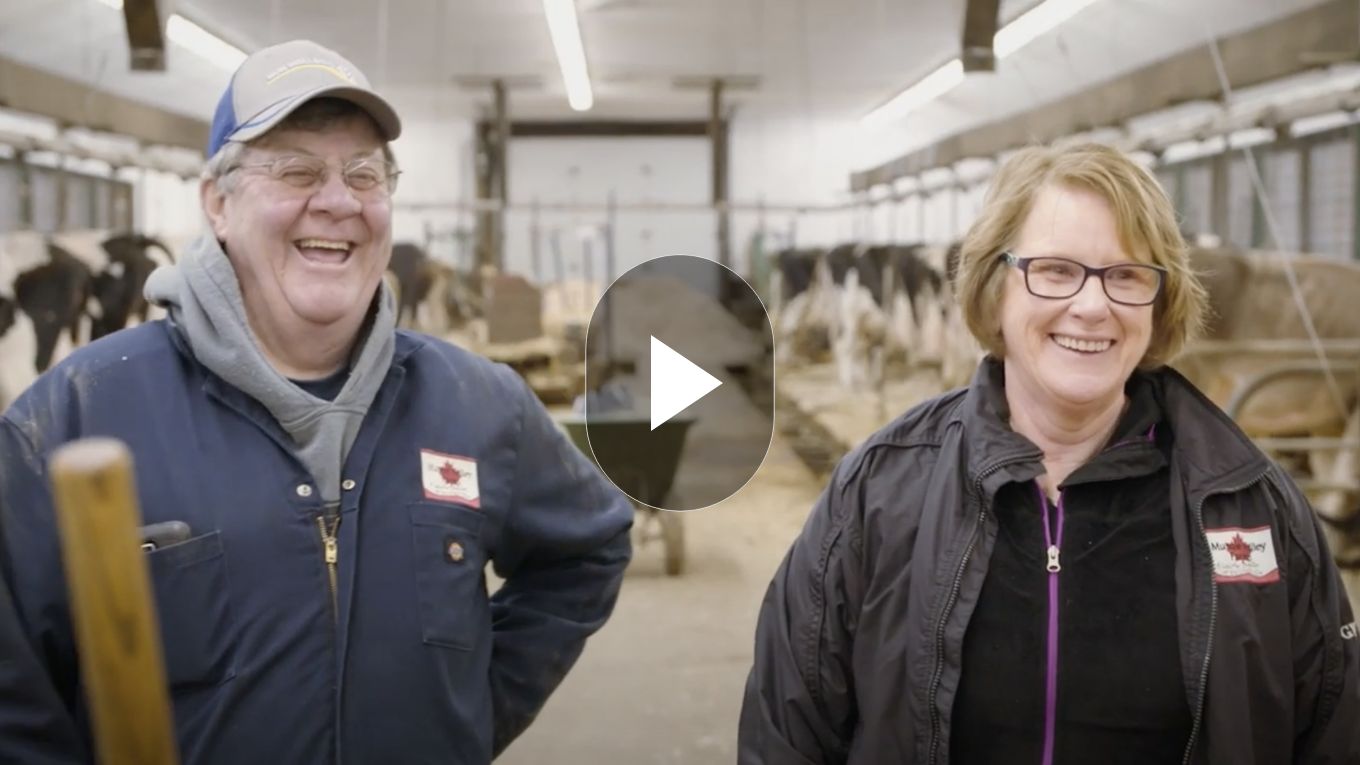 Vidéo de présentation de la marque Sollio Agriculture