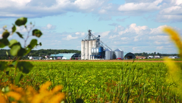 Le centre agricole Novago de Louiseville