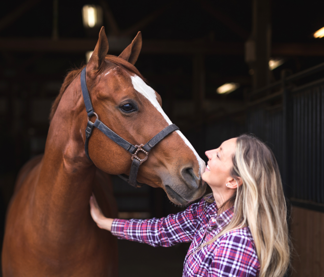A rider watches her chestnut horse wearing a halter in a stable.