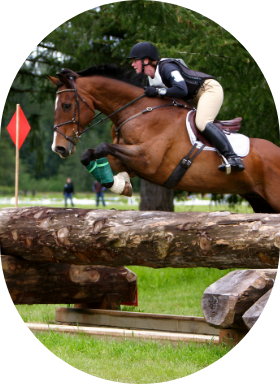 Une cavalière et son cheval dans une compétition de cross-country. 