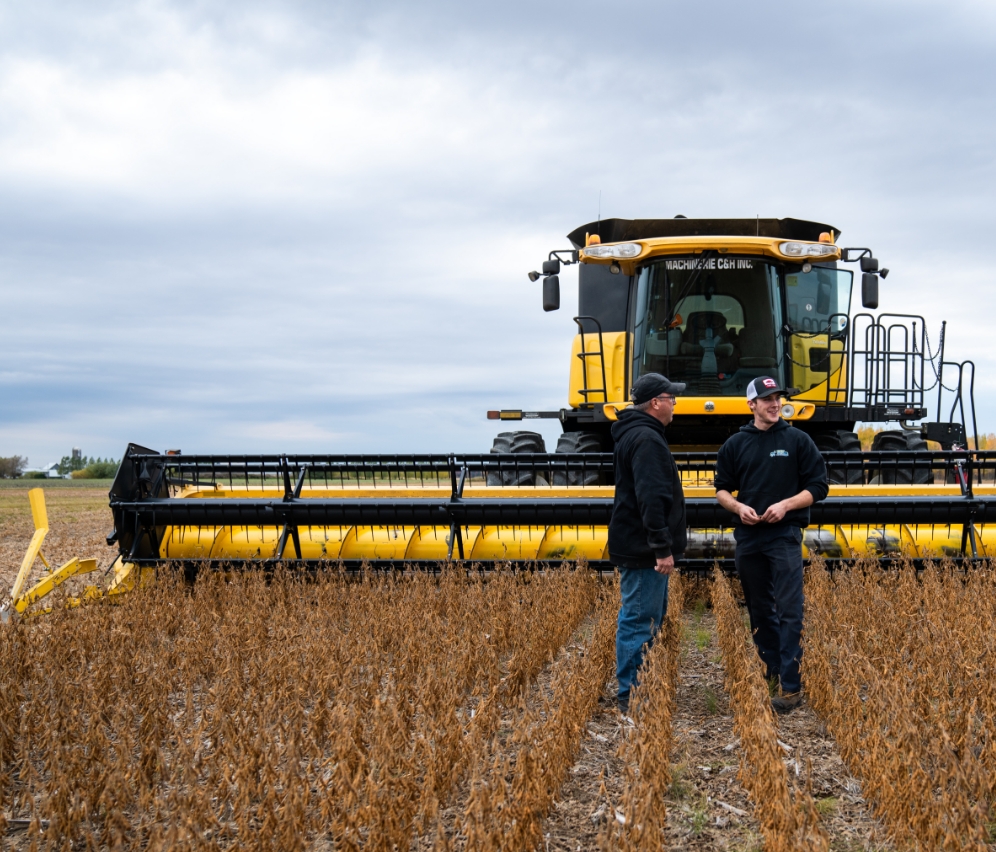 Deux producteurs discutent devant une moissonneuse-batteuse jaune pendant la récolte des grains de soya. 