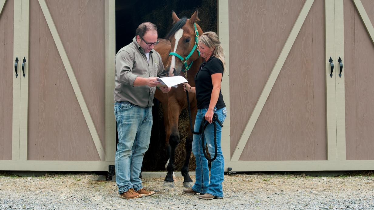 Une propriétaire discute de la ration idéale de son cheval avec un expert-conseil. 