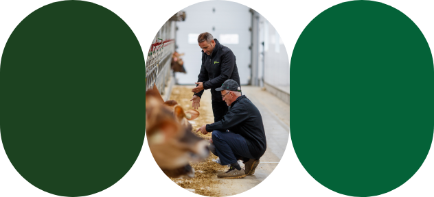 Un producteur laitier et un expert-conseil Sollio Agriculture analysent le fourrage.