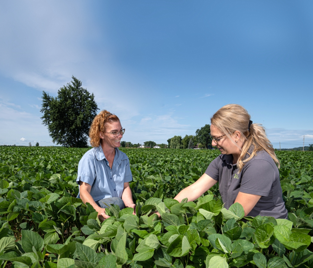 Une productrice et une experte-conseil de Sollio Agriculture sont agenouillées dans un champ de soya.