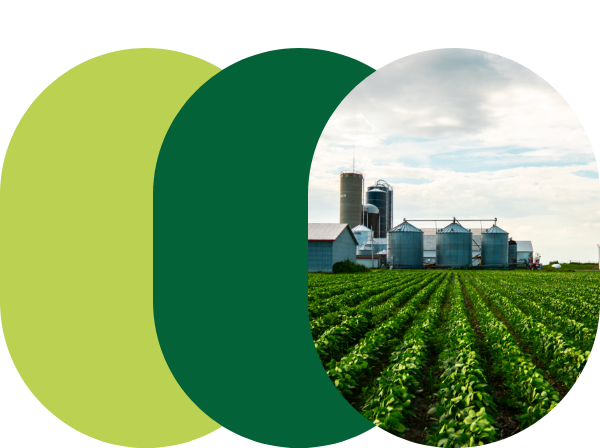 A field crop farm with silos in the background.