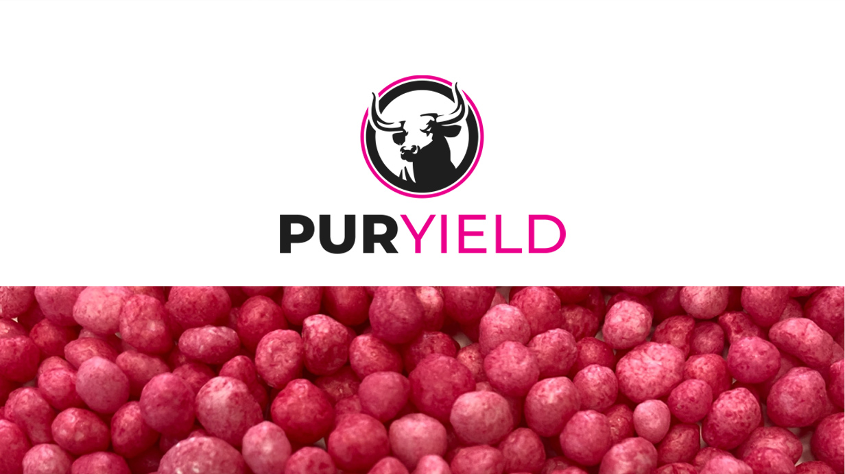 A pile of homogeneous pink PurYield granules.