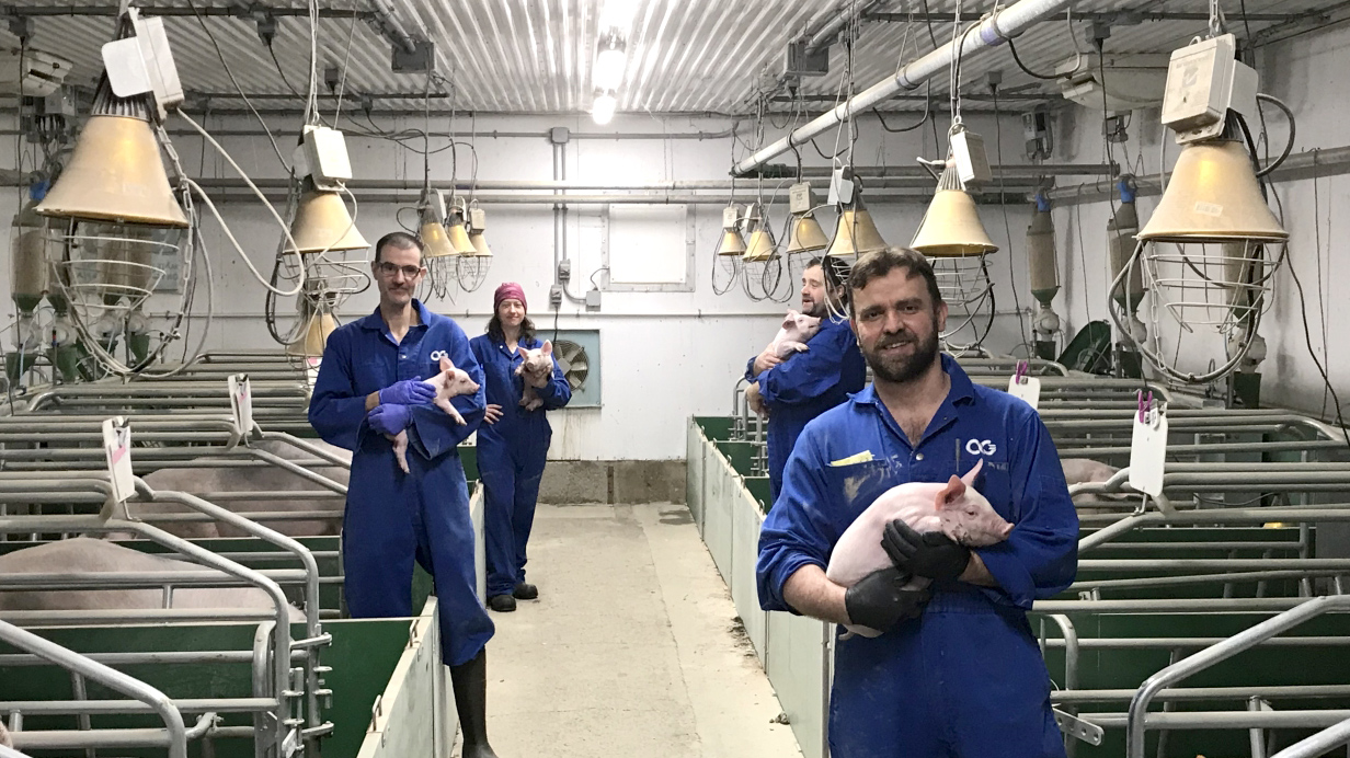 Employees of Olymel’s swine genetics division (AlphaGene) at the Saint-Valérien de Rimouski farm.