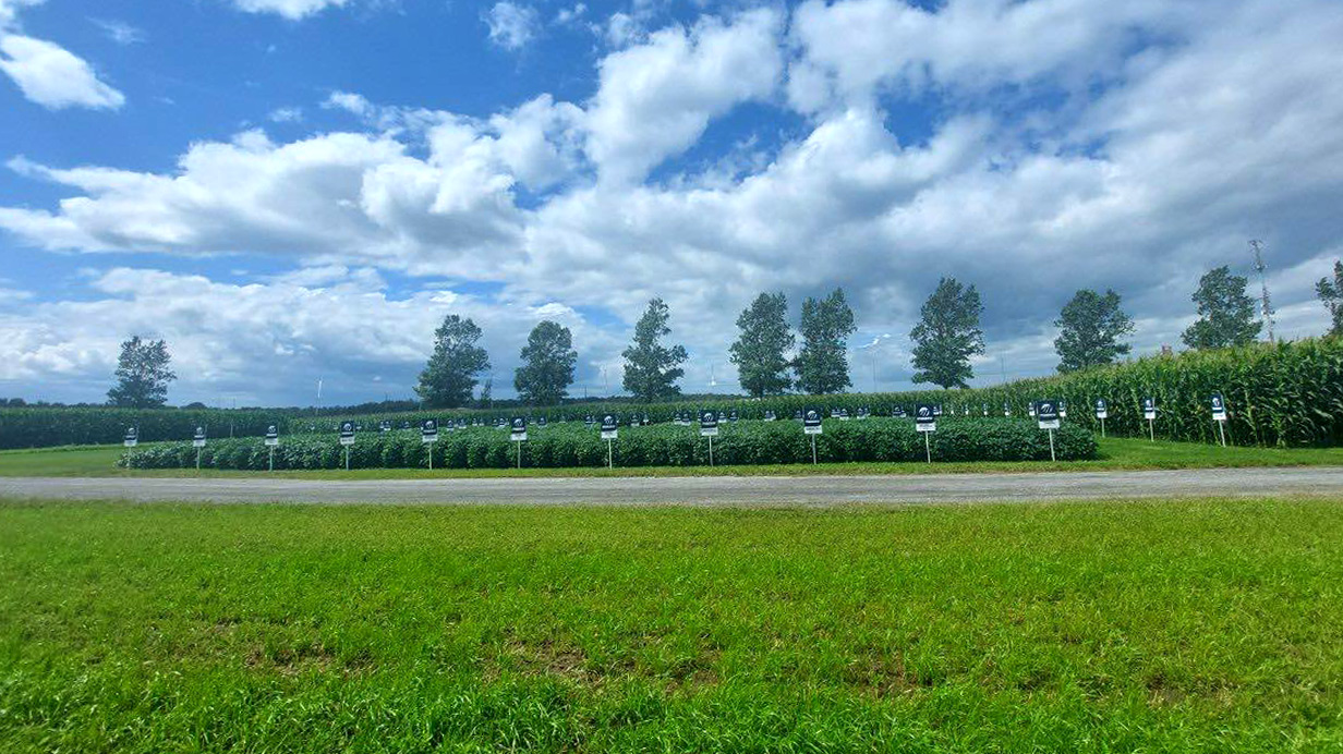 Demonstration of a Maizex seed cultivation plot at the Expo-Champs event in Montérégie.
