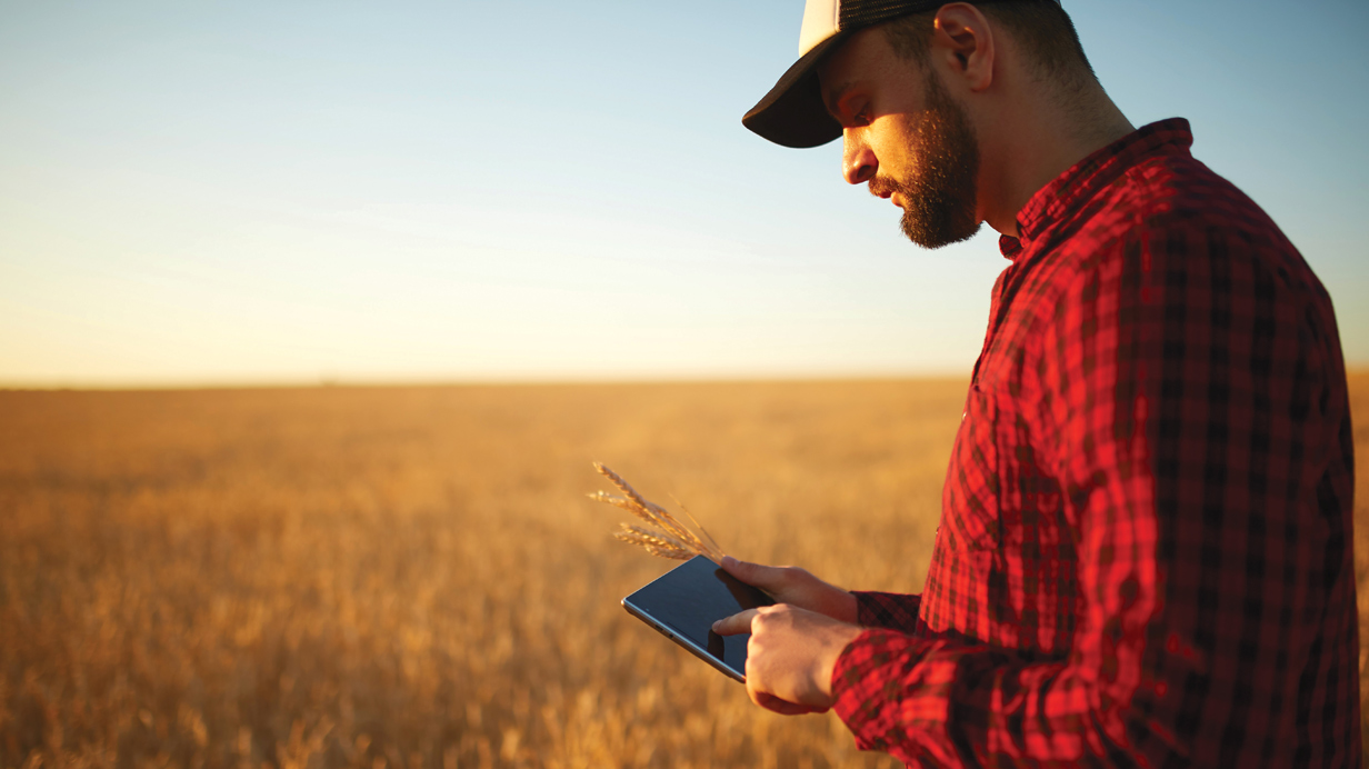 A farmer examine his field using AgConnexion | SmartFarm on his tablet.