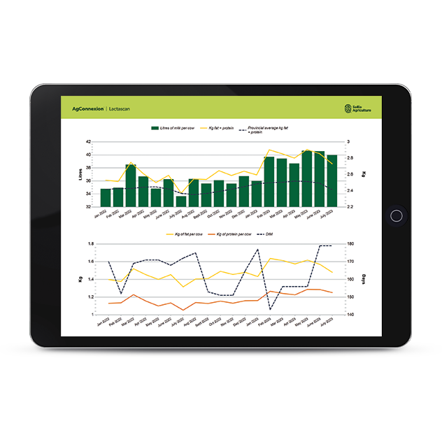 Screenshot of the dashboards of a Lactascan report.
