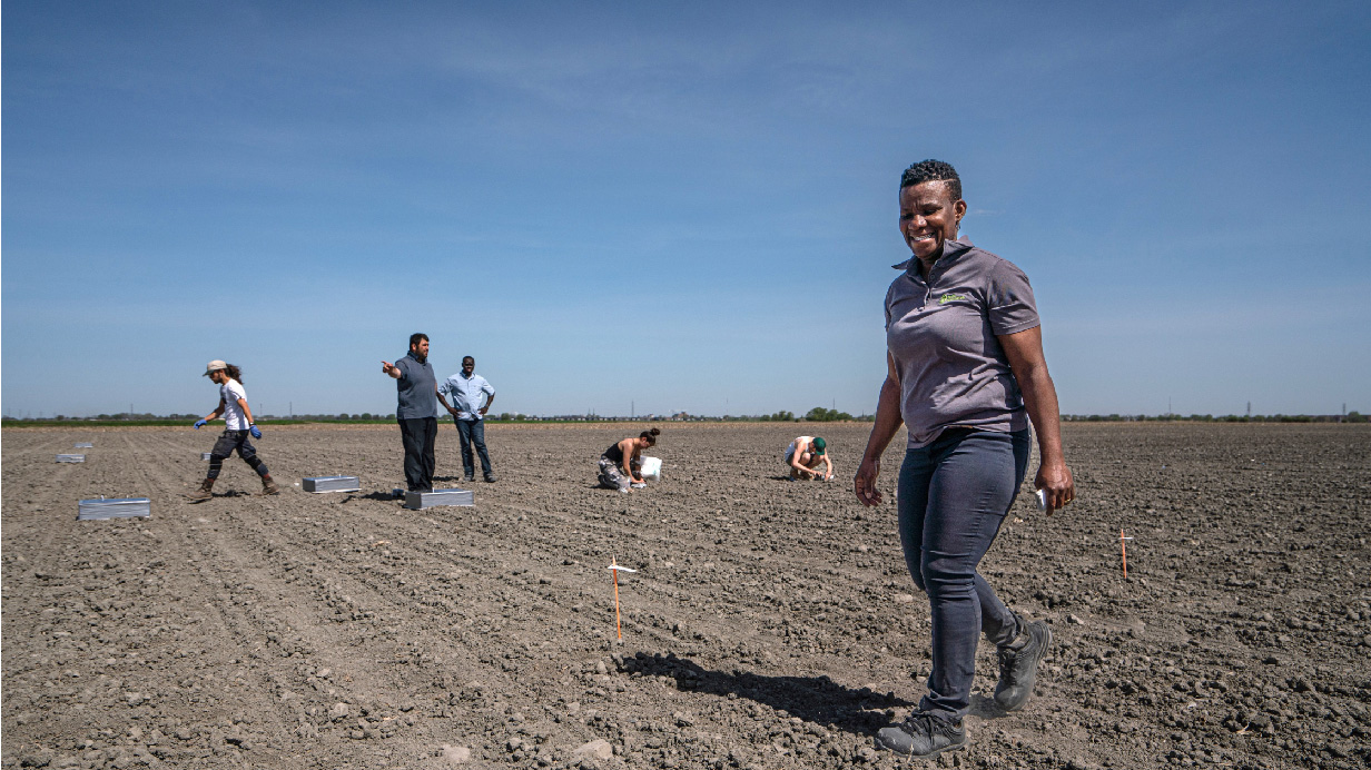 Lucie Kablan dans une parcelle de tests de la Ferme de recherche de Sollio Agriculture. 