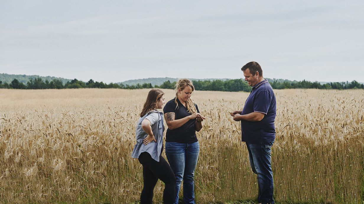 Deux producteurs de grandes cultures discutent d'agriculture durable avec une experte-conseil de Sollio Agriculture.