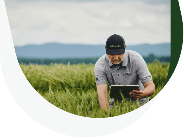 A man consults his tablet in a field.