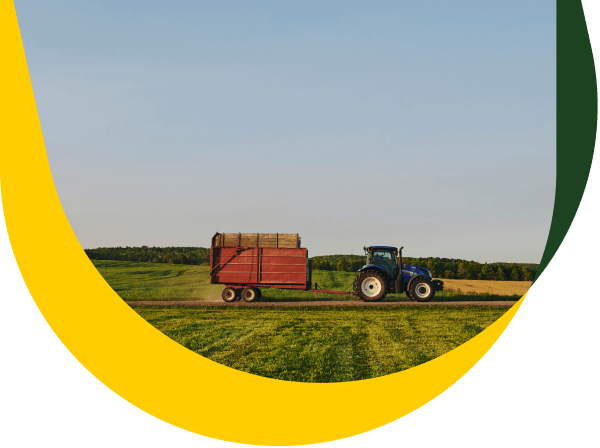 In a field, a tractor pulls a trailer full of hay.