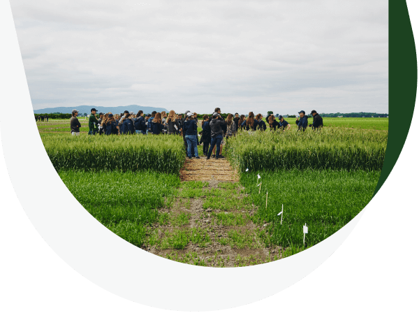 A group of students in a field.