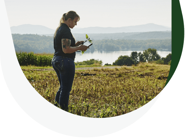 A woman consults her tablet in a field.