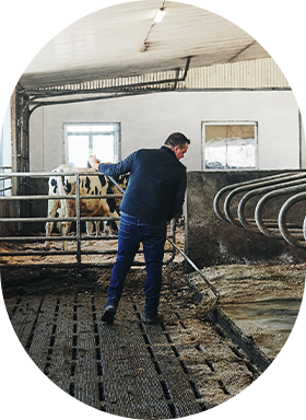 A producer is working in his barn to reduce his farm’s carbon footprint.