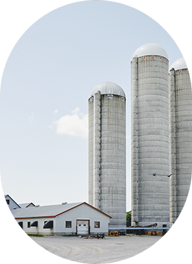 A dairy farm seen from the outside that is currently working to reduce its carbon footprint.