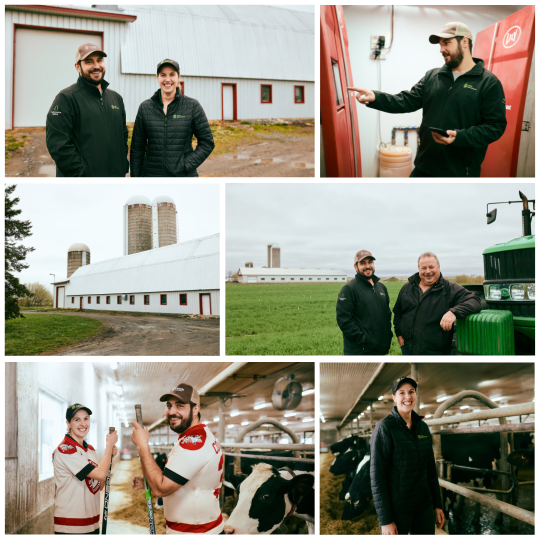 reportage covris