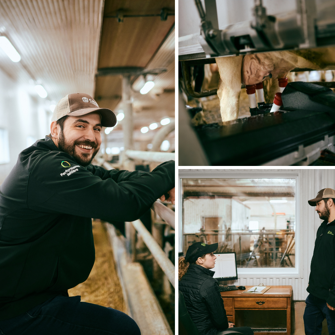 reportage ferme covris
