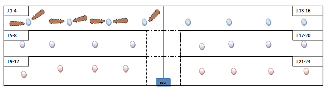 Schéma expliquant comment faire du bale grazing avec les vaches laitières dans un contexte de pénurie de fourrages. 