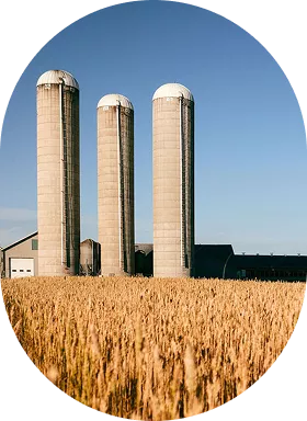 A farm seen from afar.